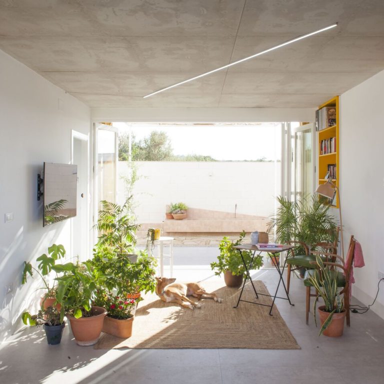 Casa para una familia de felinos y caninos en España