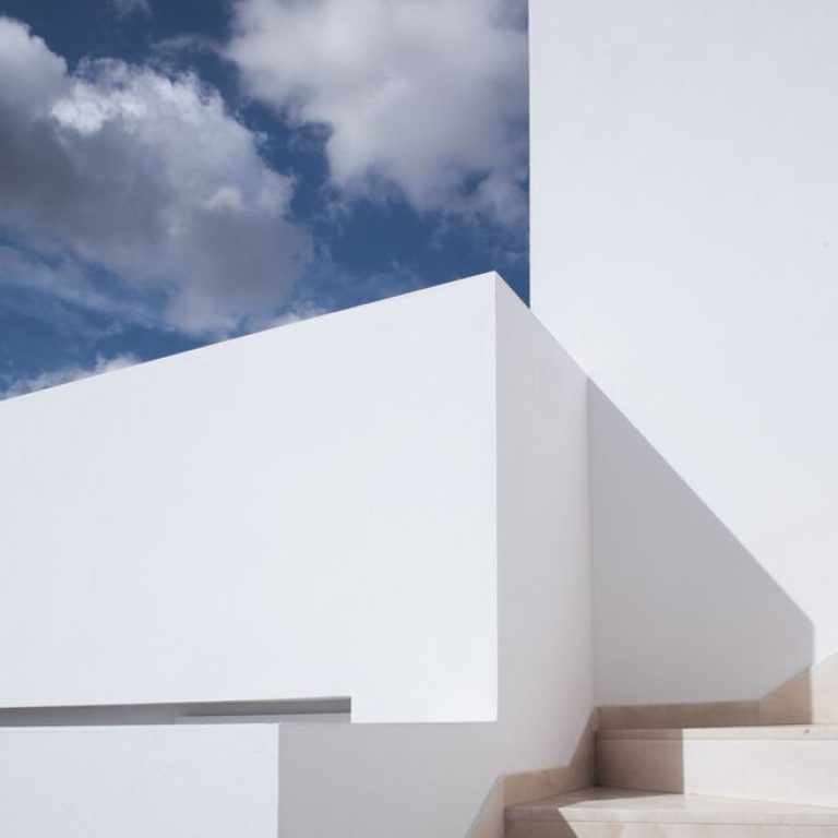 Casa para una familia de felinos y caninos en España