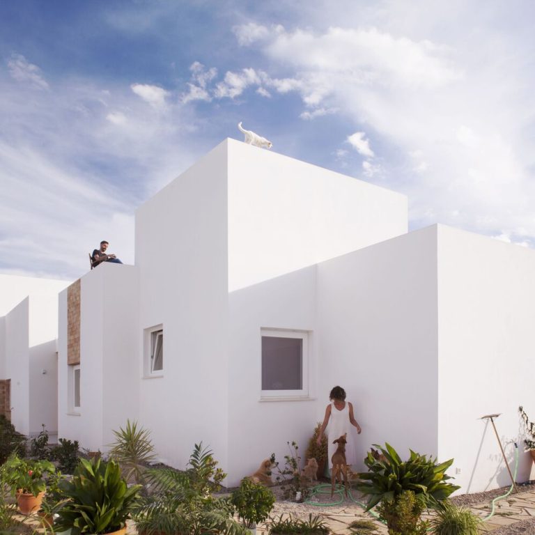 Casa para una familia de felinos y caninos en España