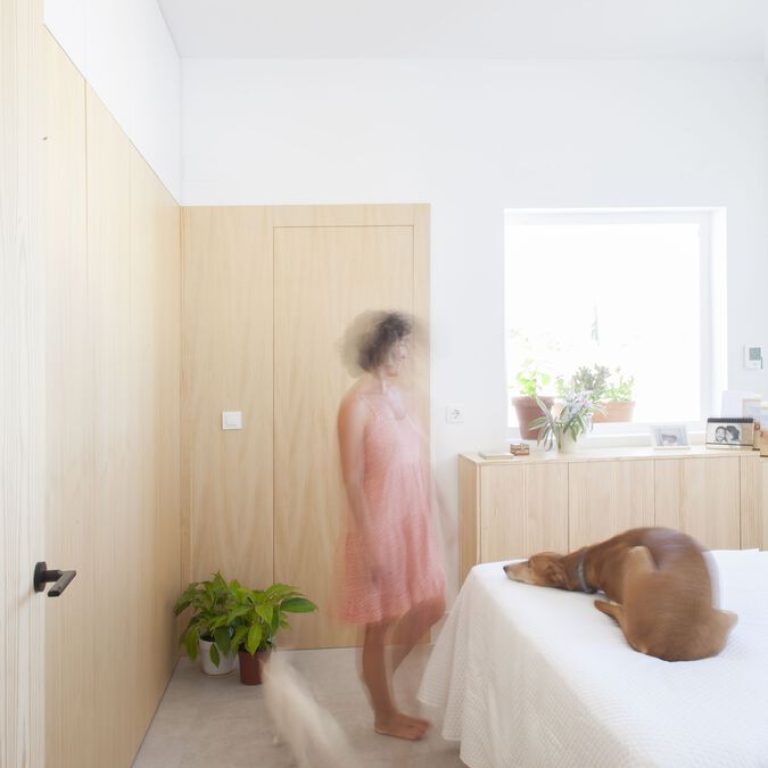 Casa para una familia de felinos y caninos en España
