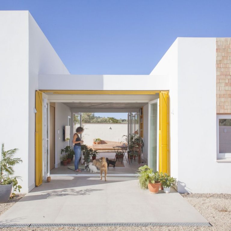 Casa para una familia de felinos y caninos en España