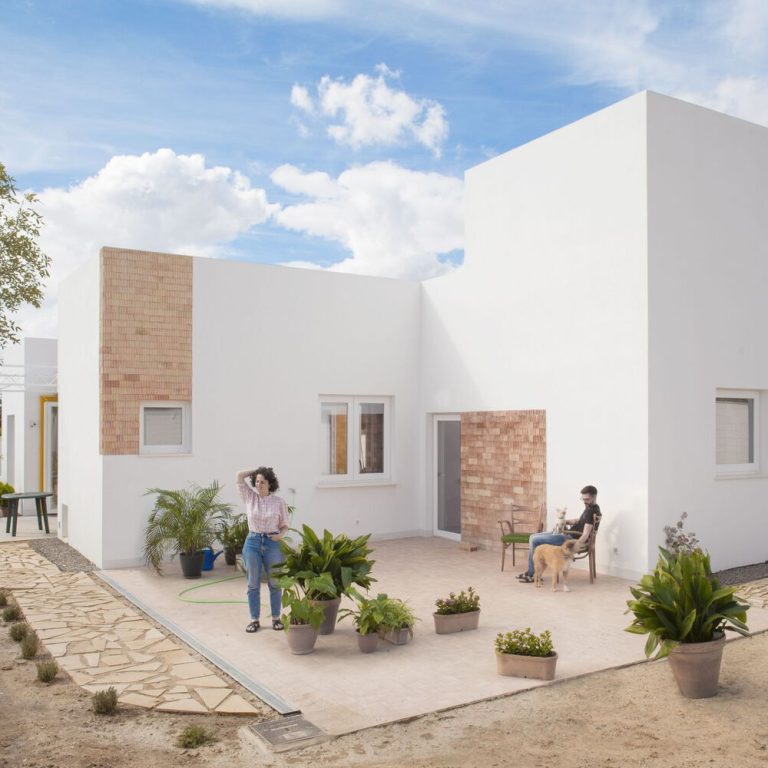 Casa para una familia de felinos y caninos en España