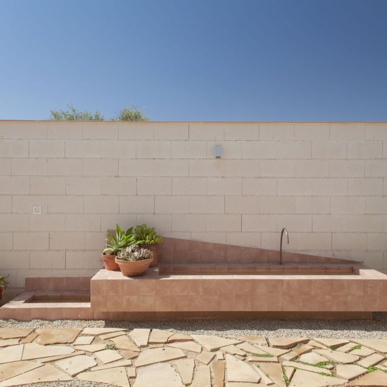 Casa para una familia de felinos y caninos en España