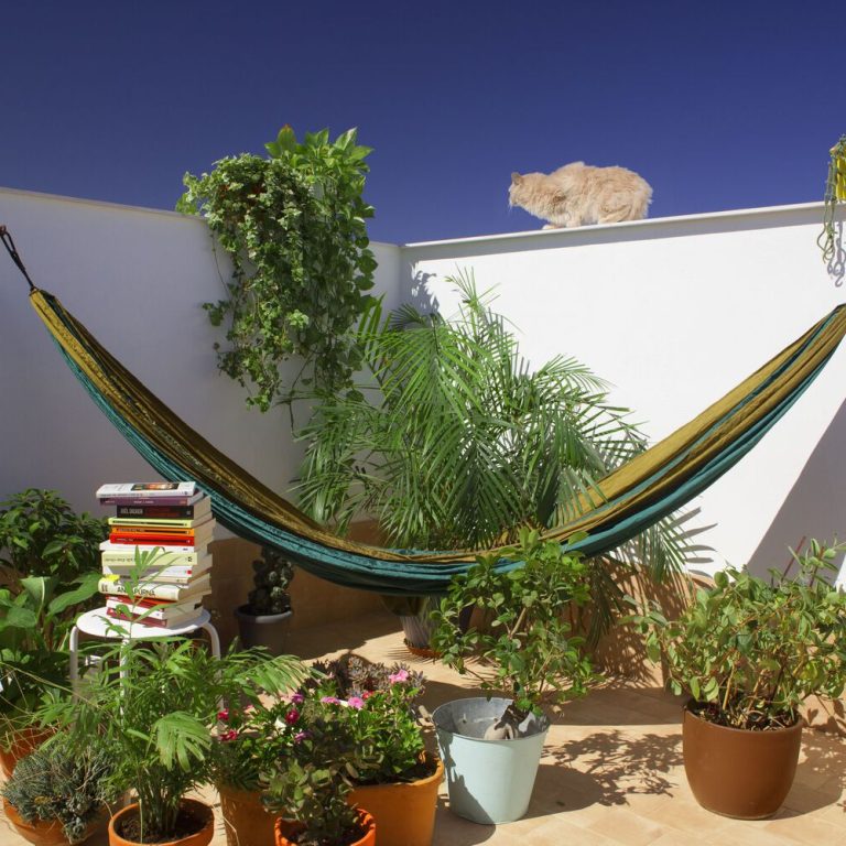 Casa para una familia de felinos y caninos en España