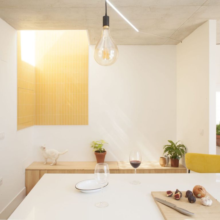Casa para una familia de felinos y caninos en España