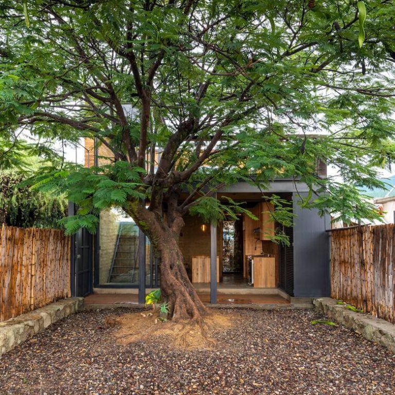 Casa taller Plúmula en Oaxaca por Espacio 18 Arquitectura