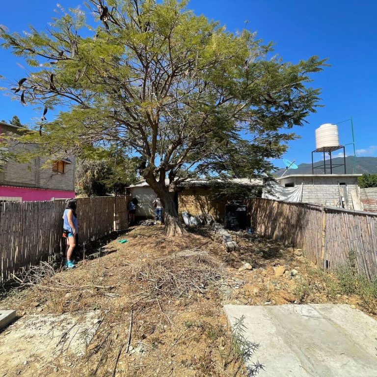Casa taller Plúmula en Oaxaca por Espacio 18 Arquitectura