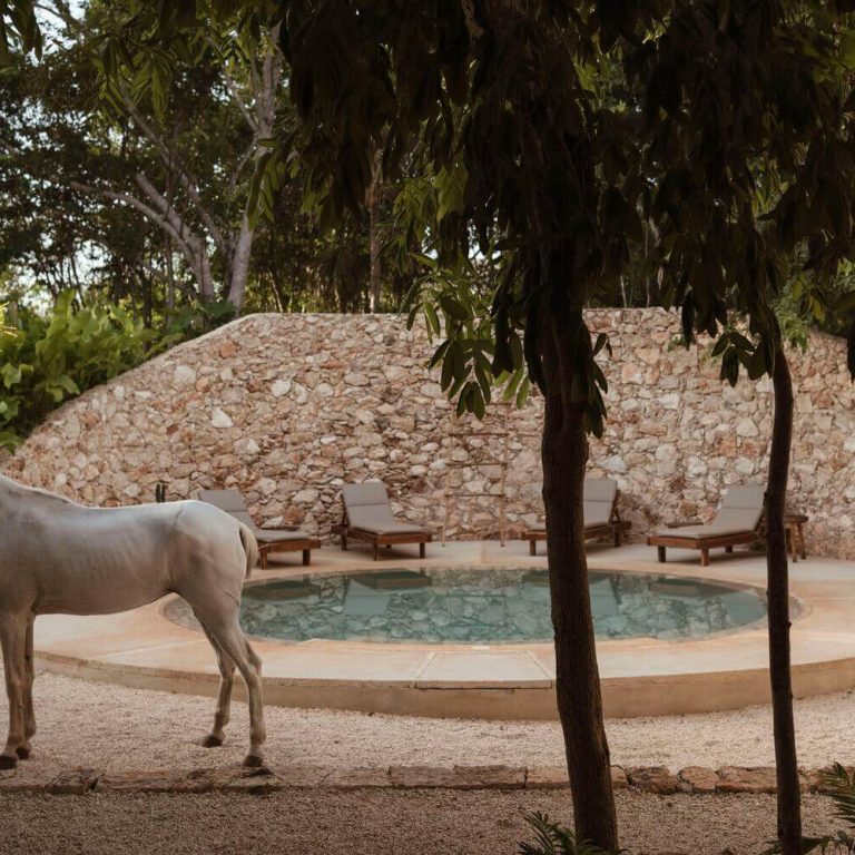 Galopina casa silvestre en Yucatán por TACO taller de arquitectura - Fotografias de arquitectura