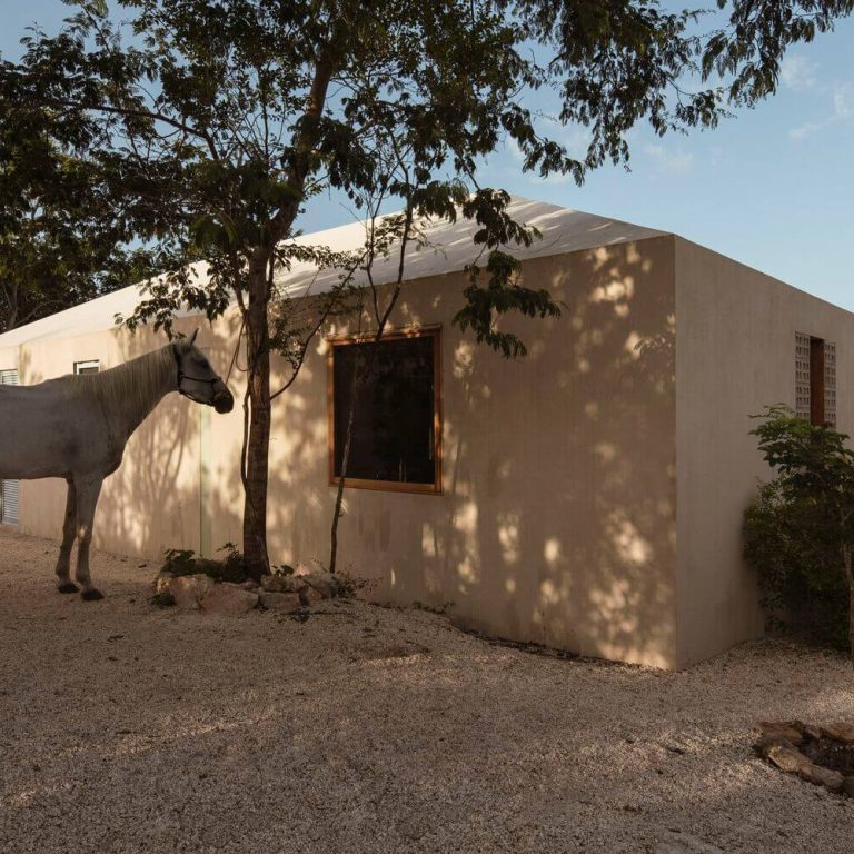 Galopina casa silvestre en Yucatán por TACO taller de arquitectura - Fotografias de arquitectura