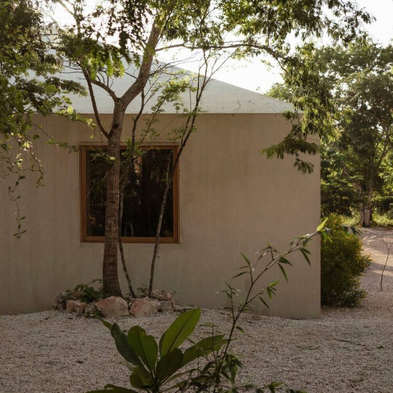 Galopina casa silvestre en Yucatán por TACO taller de arquitectura - Fotografias de arquitectura