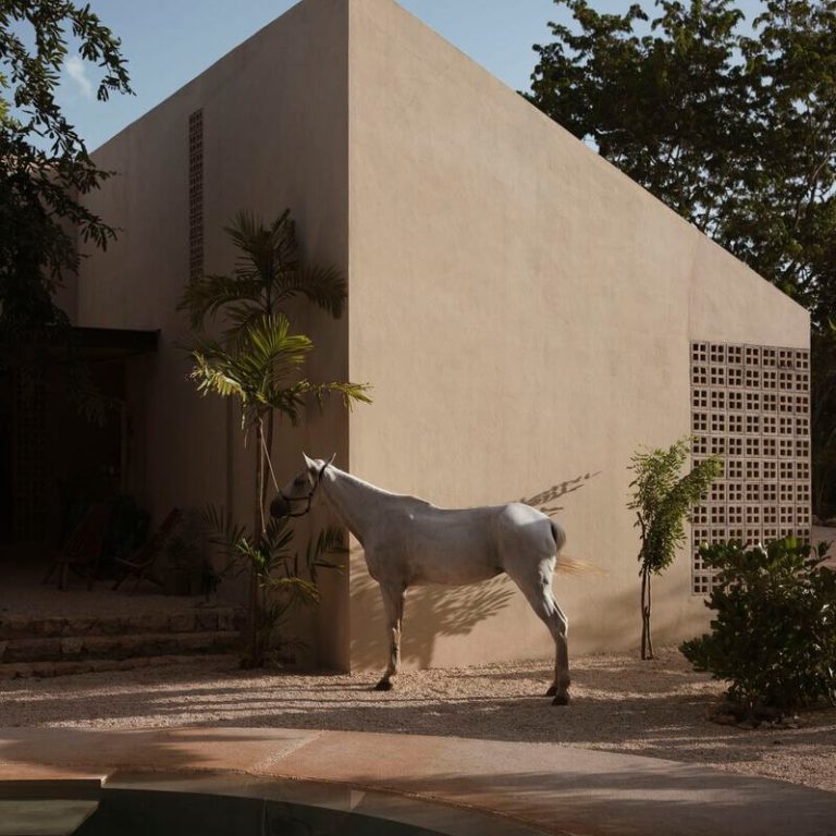 Galopina casa silvestre en Yucatán por TACO taller de arquitectura - Fotografia de arquitectura