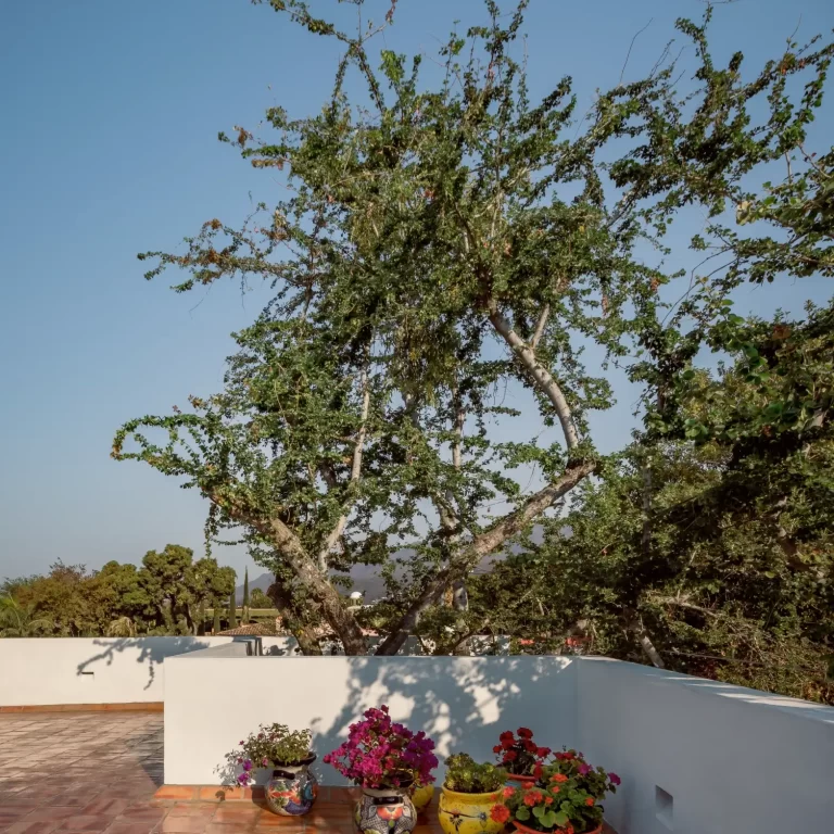 Hotel Cielito Azul B&B