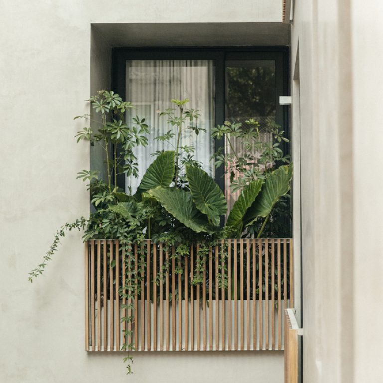 Octavia Casa en CDMX por PPAA Pérez Palacios Arquitectos Asociados - Fotografía de Arquitectura - El Arqui MX