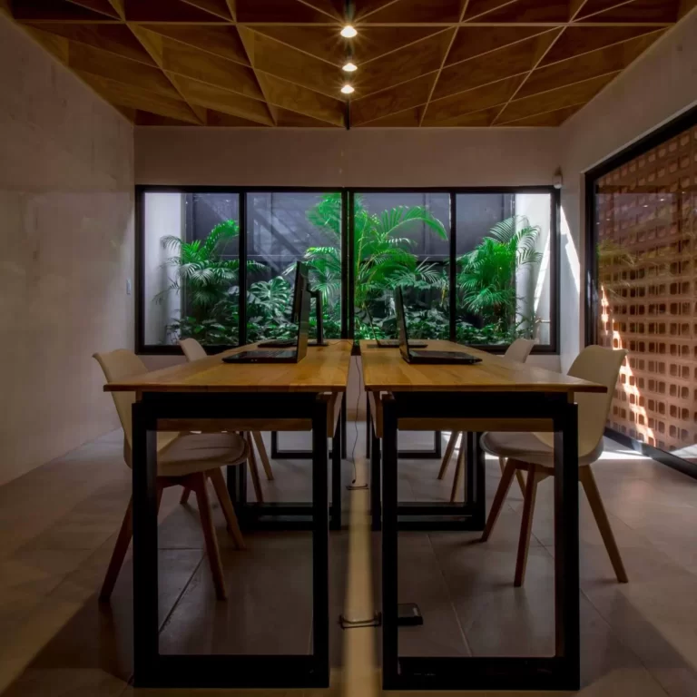 Oficina PP Chiapas - Apaloosa Estudio Arquitectura Diseño