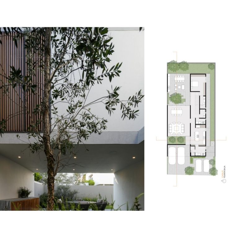 Planos de Casa G Zapopan: Diseño Interior y Luz Natural en Residencia de 340 m² por TACHER ARQUITECTOS