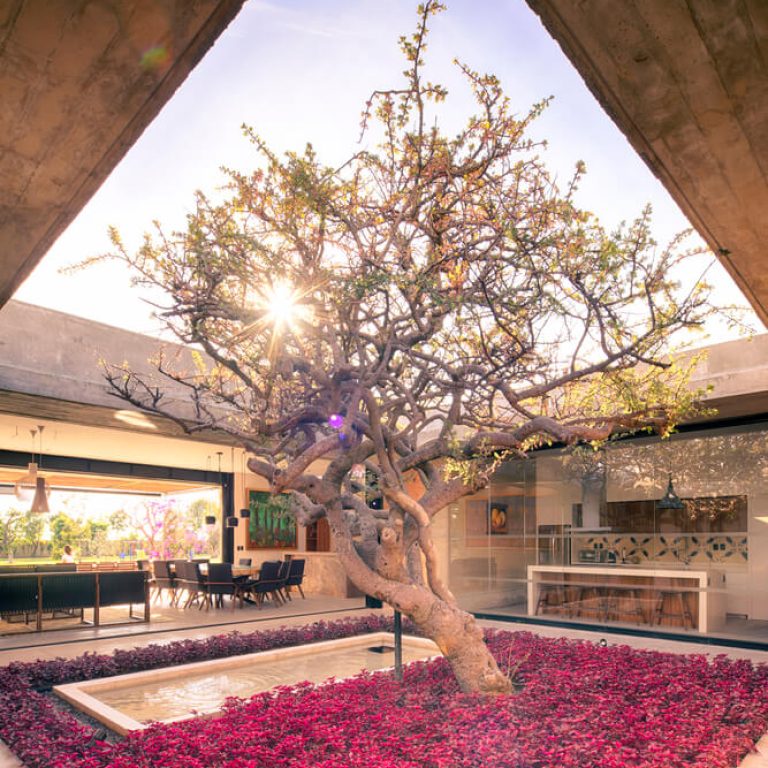 Quinta Gaby en Puebla por Taller Tlaiye - Fotografia de arquitectura