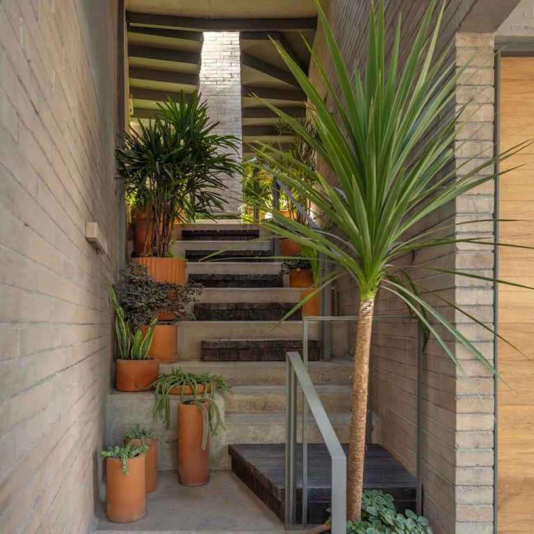 Jardín interior que articula las viviendas del Edificio Porfirio